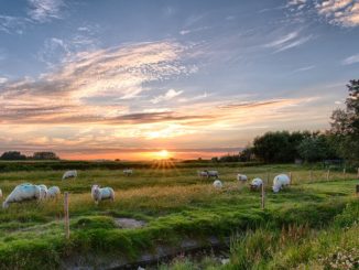 Sonnenuntergang in Pellworm