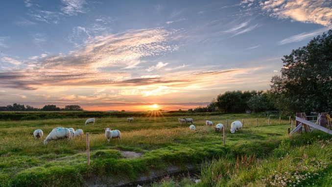 Sonnenuntergang in Pellworm