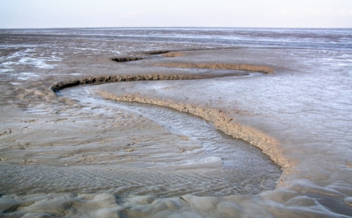 Schleswig-Holsteinisches Wattenmeer