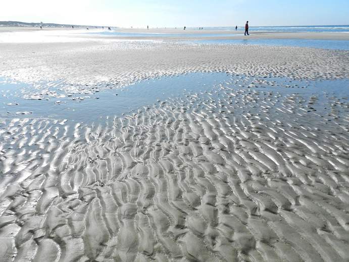 Wattwandern bei Ebbe in der Nordsee