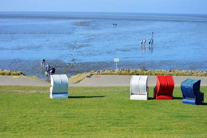 Wattwandern an der Nordsee