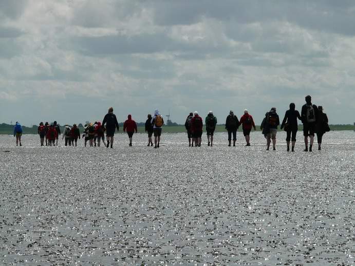 Wattwandern bei Ebbe im Wattenmeer