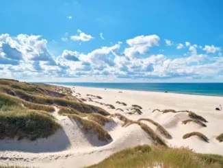 Strand bei Blokhus